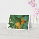 Suche nach apricot karten Vielen dank