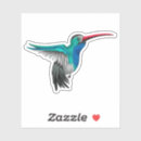 Suche nach kolibri Vögel