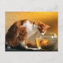 Suche nach katze und goldfisch postkarten Katzen