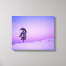 Suche nach kiefern leinwandbilder Winter