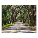 Suche nach spanisches moos poster Live