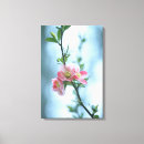 Suche nach blossom leinwandbilder Abteilung