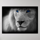 Suche nach blauer löwe poster Weiß