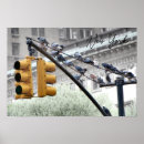 Suche nach tauben poster Tierwelt