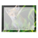 Suche nach fuchs notizblock Wälder