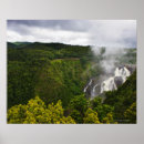 Suche nach tropischer regenwald poster Üppiges laub