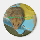 Suche nach hamster magnete Cool