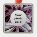 Suche nach lilie ornamente Blume