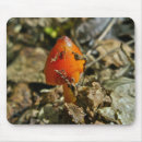 Suche nach roter pilz mousepads Wald