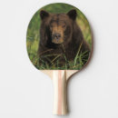 Suche nach ursus Bär