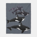Suche nach orca decken Niedlich
