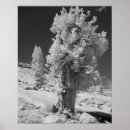 Suche nach infrarot poster Kreativ