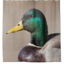 Suche nach ente dusch vorhänge Vogel