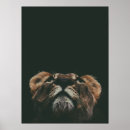 Suche nach löwin poster Natur