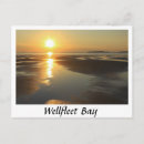 Suche nach wellfleet Strand