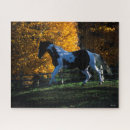 Suche nach paint horse puzzle Streichpferd