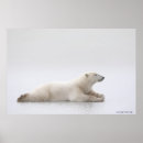 Suche nach kalte poster Im freien