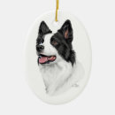 Suche nach collie ornamente Agility