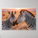 Suche nach safari animals poster Liebe