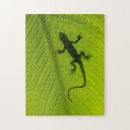 Suche nach gecko puzzle Abstrakt