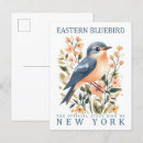 Suche nach blaumeisen postkarten Vintage
