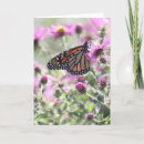 Suche nach nektar karten Schmetterling