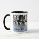 Suche nach namibia kaffee tassen Tier