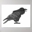 Suche nach der rabe und die krähe poster Tiere