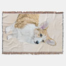 Suche nach pembroke corgi decken Schmutzig
