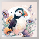 Suche nach puffin poster Vogelvogel