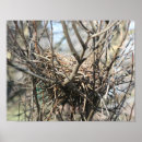 Suche nach nester poster Für sie