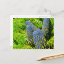 Suche nach tannenbäume poster Naturfotografie