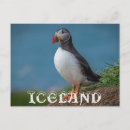 Suche nach iceland postkarten Eisland