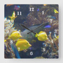 Suche nach tropical fish poster Water