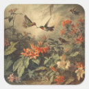 Suche nach kolibris aufkleber Blume