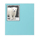 Suche nach eisbär notizblock Weißbär