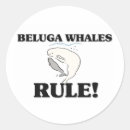 Suche nach beluga aufkleber Wale
