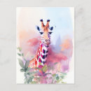 Suche nach bunte giraffe postkarten Safari