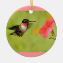 Suche nach vogel im baum ornamente Verzierung