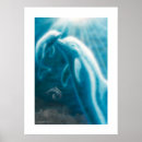 Suche nach delfin poster Illustration