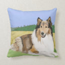 Suche nach rau kissen Collie