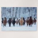 Suche nach laufendes pferd puzzle Herde