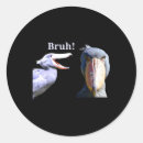 Suche nach bruh aufkleber Brutal