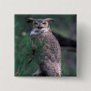 Suche nach zweig buttons Vogel