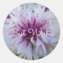 Suche nach schöne blumen aufkleber Romantisch
