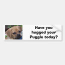 Suche nach puggles Tiere