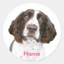 Suche nach reinrassig aufkleber Hund