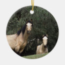 Suche nach mein mustang ornamente Wild