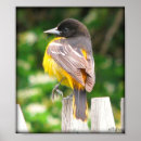 Suche nach lustige natur poster Fotografie