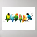 Suche nach lovebirds poster Liebe